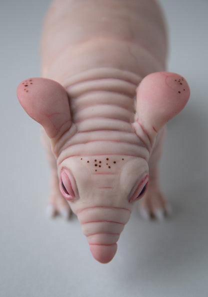 Fat and cute hamster-guinea pig-rat naked animal art doll. Nude and pink mice mouse figurine