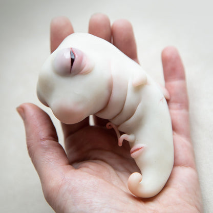 A large embryo worm. It has a sleepy but cute face, white skin, fins and an umbilical cord. The sculpture is made of translucent white polymer, red eyes are made of red epoxy