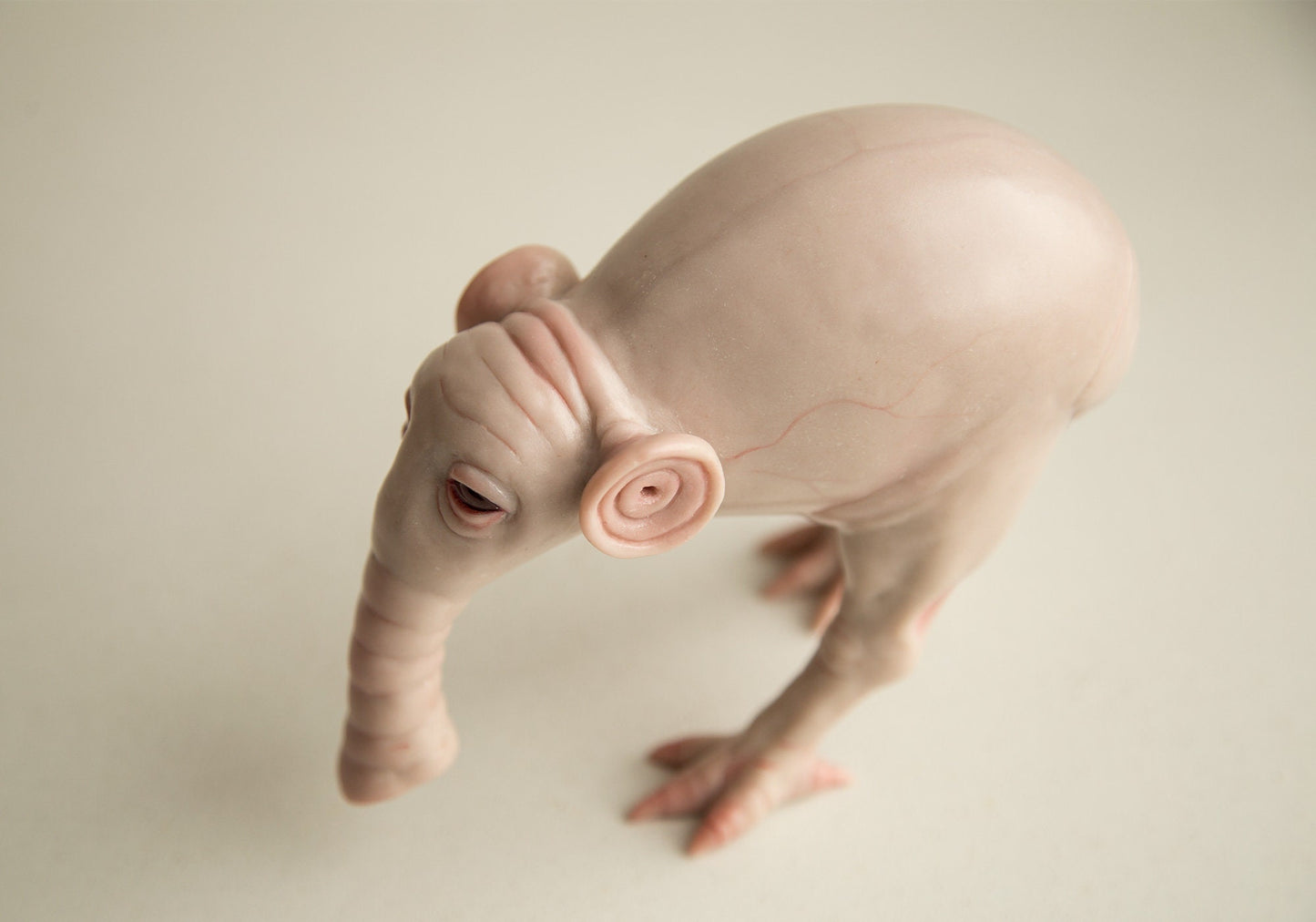 Weird fantastic beast sculpture, OOAK fantasy doll, MORSH hybrid kiwi elephant character