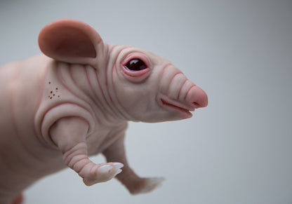 Fat and cute hamster-guinea pig-rat naked animal art doll. Nude and pink mice mouse figurine