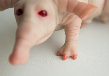 Weird fantastic beast alien baby doll sculpture, worm - elephant lil cutie