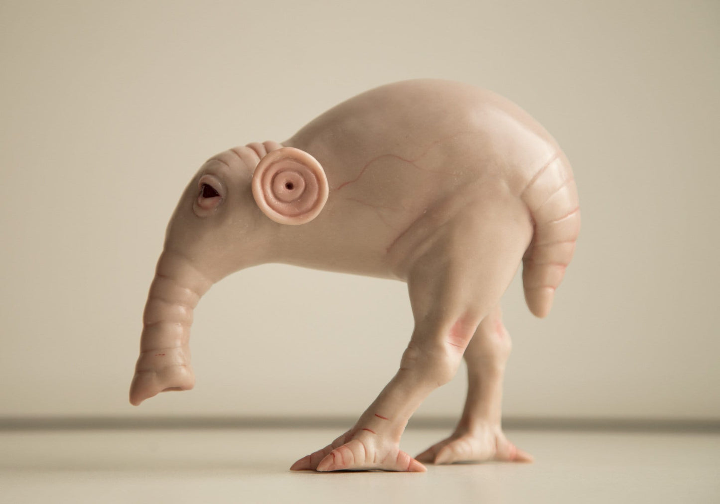 Weird fantastic beast sculpture, OOAK fantasy doll, MORSH hybrid kiwi elephant character