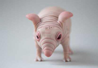 Fat and cute hamster-guinea pig-rat naked animal art doll. Nude and pink mice mouse figurine