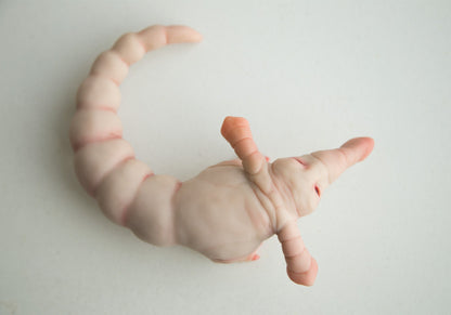 Weird fantastic beast alien baby doll sculpture, worm - elephant lil cutie