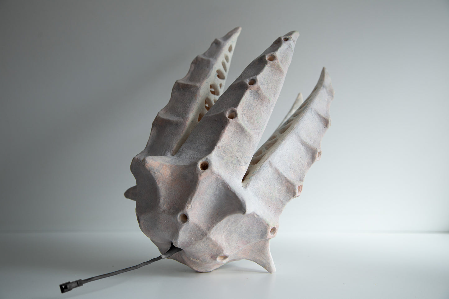 An organic-shaped ceramic sculptural lamp resembling a stylized seashell or leaf, in a matte off-white glaze with a small dark wire or stem extending from the base, photographed on a neutral light gray background.