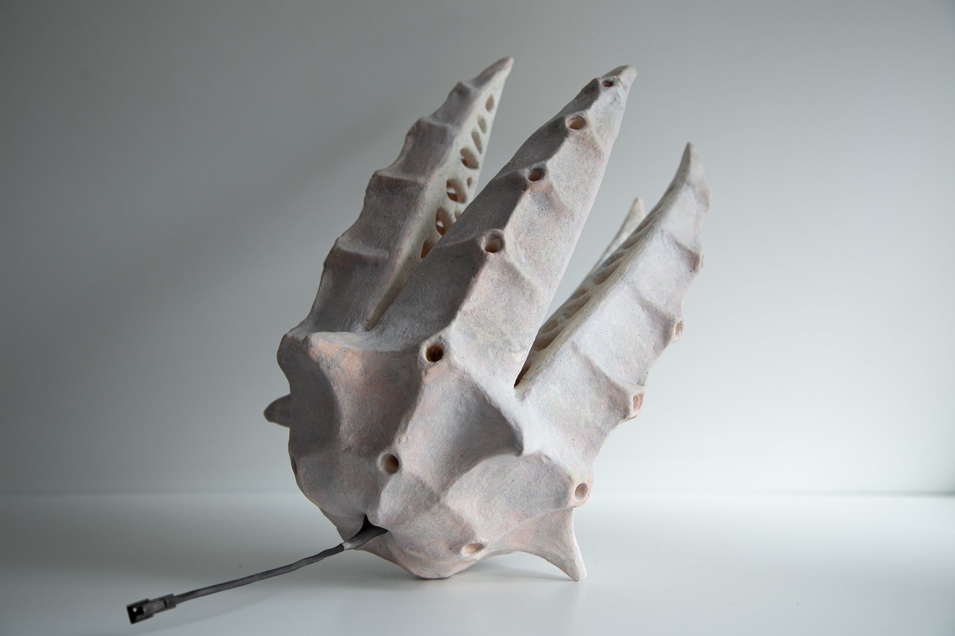 An organic-shaped ceramic sculptural lamp resembling a stylized seashell or leaf, in a matte off-white glaze with a small dark wire or stem extending from the base, photographed on a neutral light gray background.