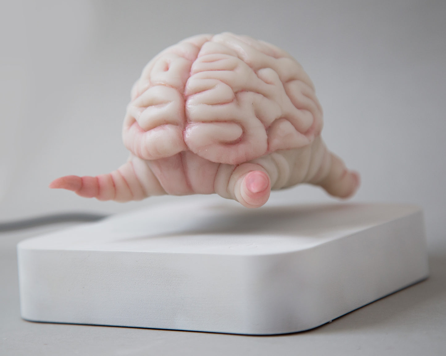 Levitating kinetic sculpture, Brain creature in anime style, ooak character Krang art toy, floating action figure