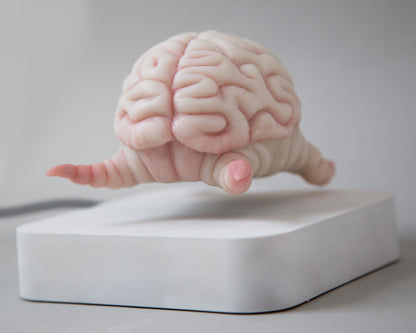 Levitating kinetic sculpture, Brain creature in anime style, ooak character Krang art toy, floating action figure
