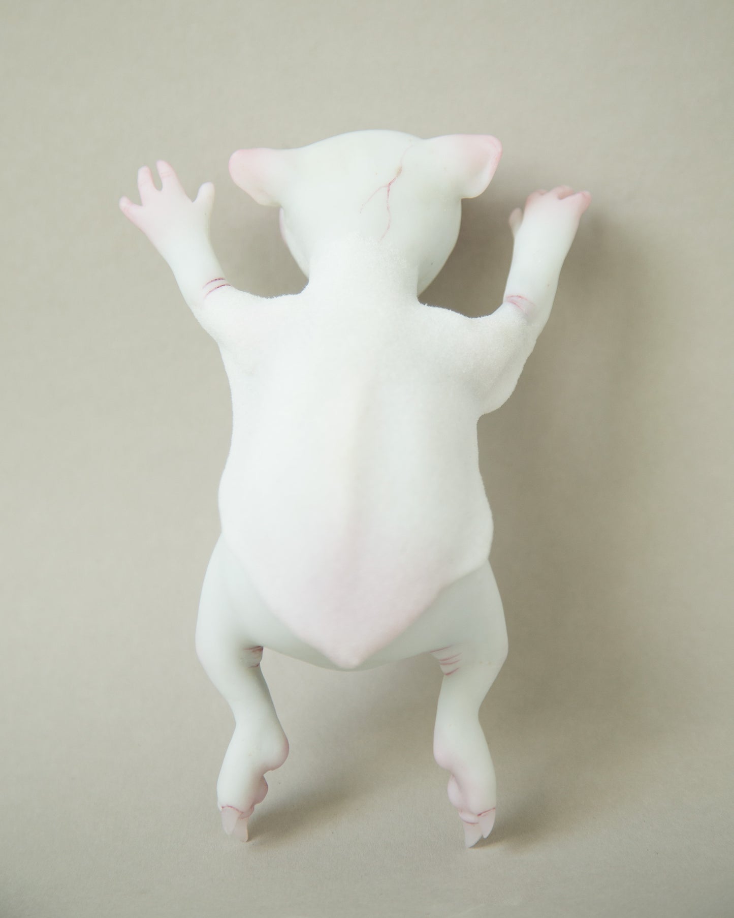 Fantasy and weird flying fox baby figurine, original art doll creature, awesome handmade product