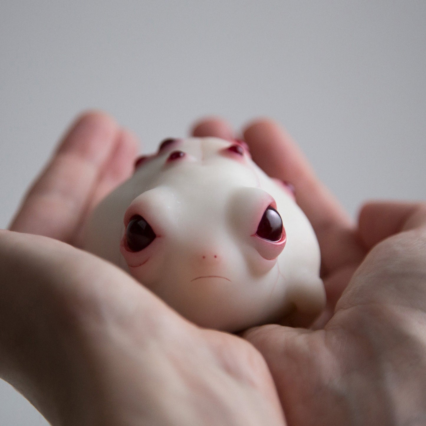 Frog albino figurine art doll, weird rainfrog anime style miniature, creepy cute art toy